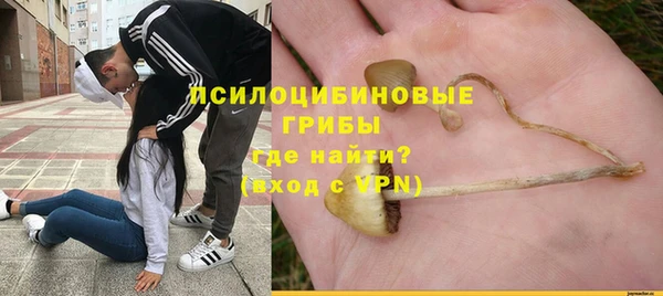 сатива Алексин