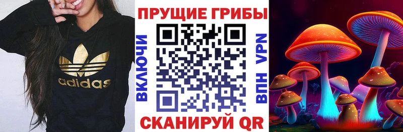 купить  цена  гидра зеркало  маркетплейс телеграм  Андреаполь  Галлюциногенные грибы Cubensis 